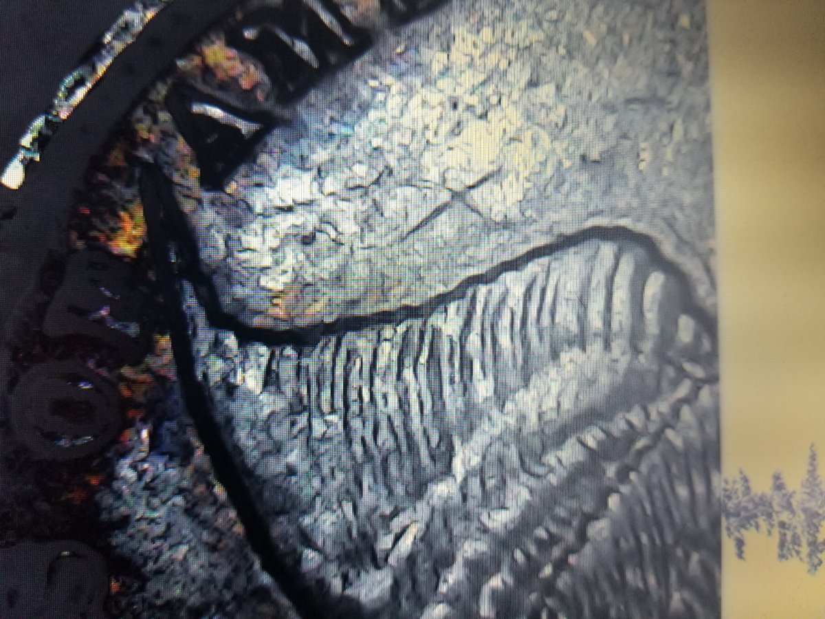 1858-Flying-Eagle-Cent-DDO?-DDR?-Dso?