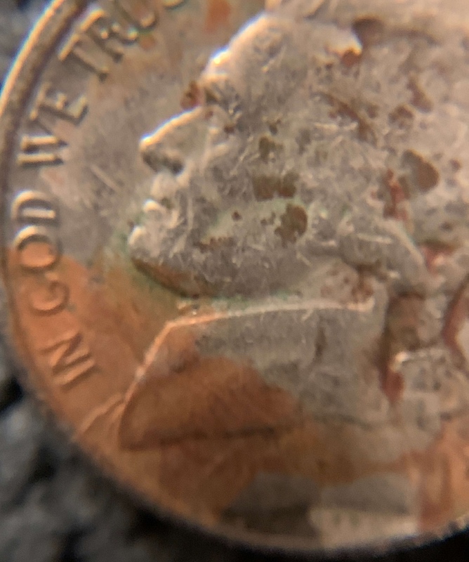 1988-P-Jefferson-Nickel-Error?-Copper-And-Black-And-Clad