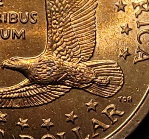 2000-Sacagawea-Wounded-Eagle-Longer-Die-Break?