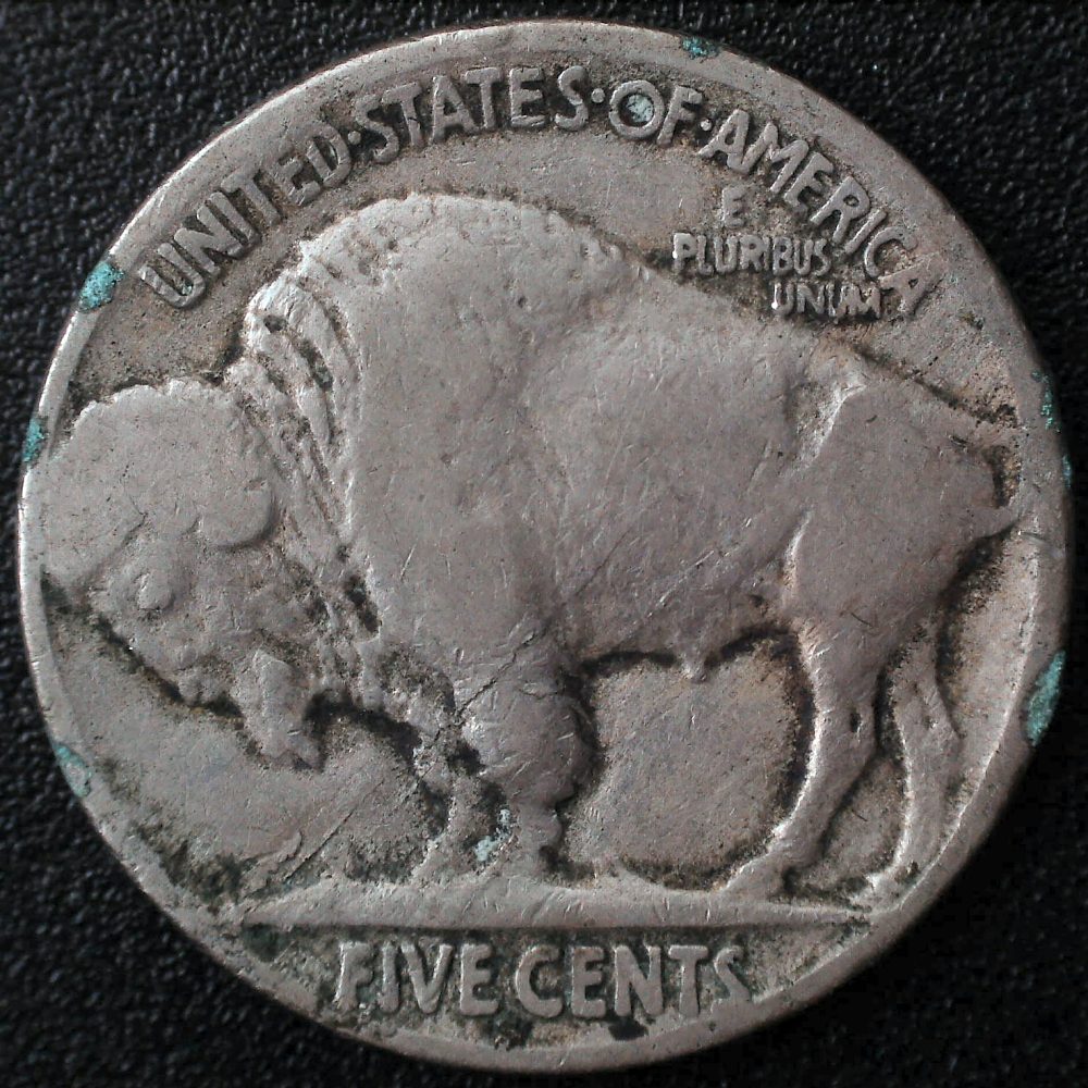 1921-S-Buffalo-Nickel-For-Grading