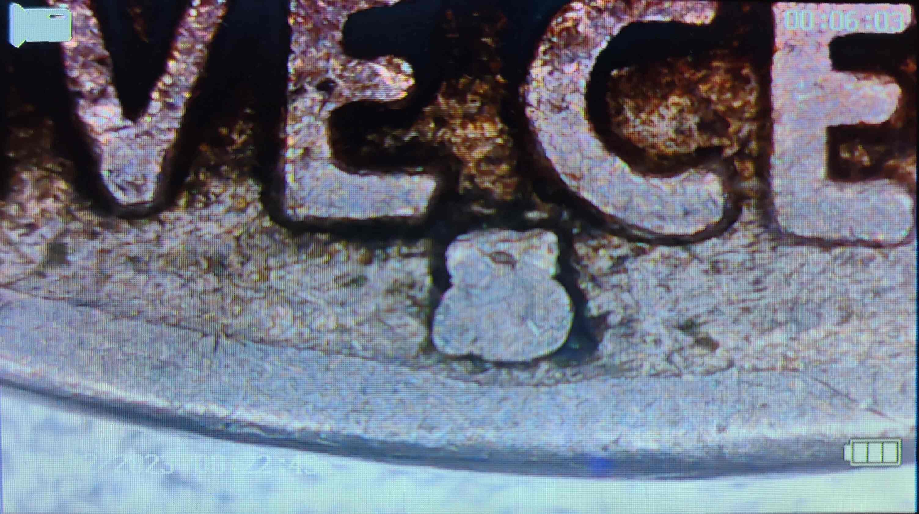 Nickel-Search-Updates-From-Nickelguy88