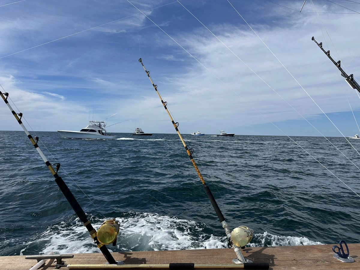Going-Fishing---Checking-In-On-Occassion