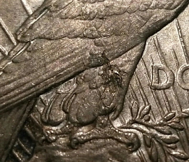 1921-Peace-Dollar:-Older-ANACS-Holder