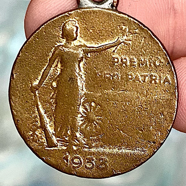 Argentinian-Medal-Identification,-Help!