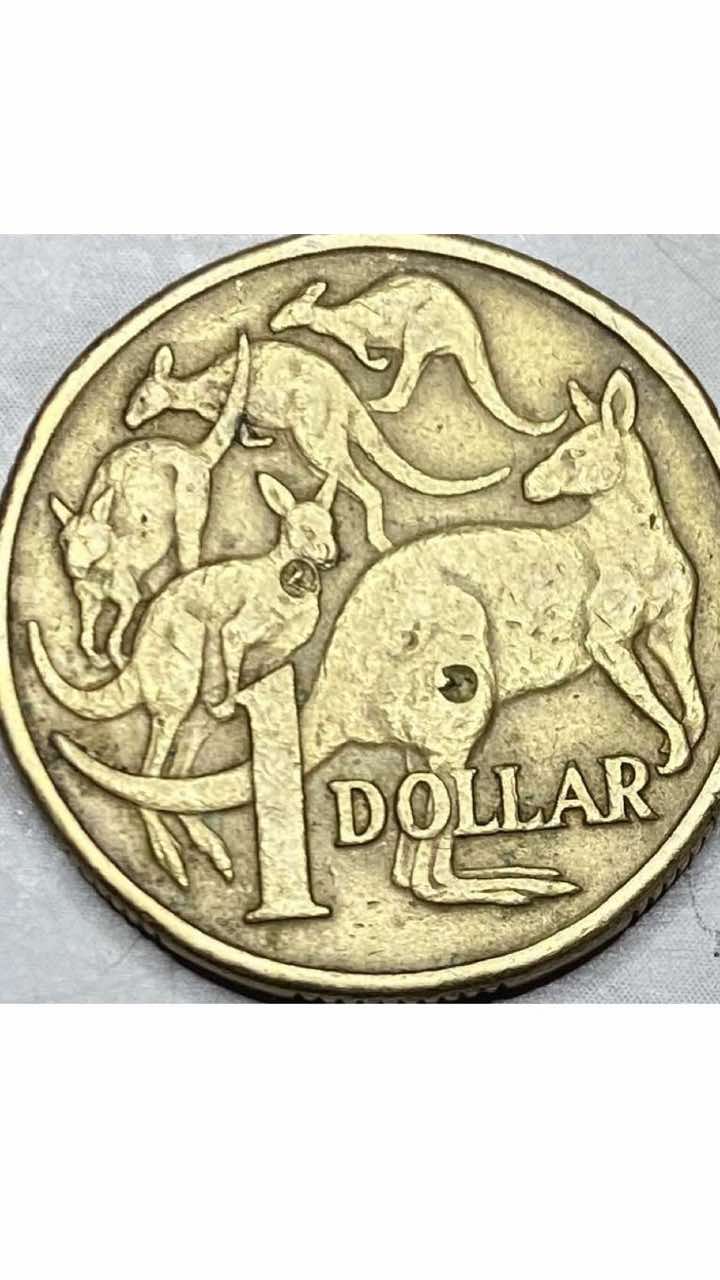 Post-Your-Australian-Circulation-Finds