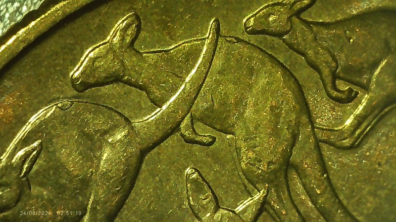 Rabbits-Ears-And-Roo-Spews