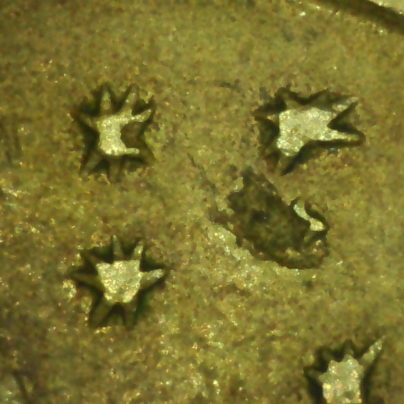 1999-2$-Cud-And-Missing-Star?-Or-PMD?
