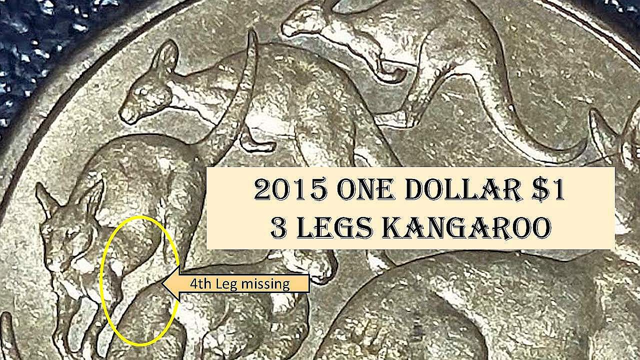 $1-Mob-Of-Roos---3RD-Roo-Missing-Right-Rear-Leg?