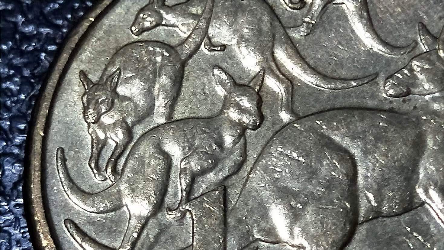 $1-Mob-Of-Roos---3RD-Roo-Missing-Right-Rear-Leg?