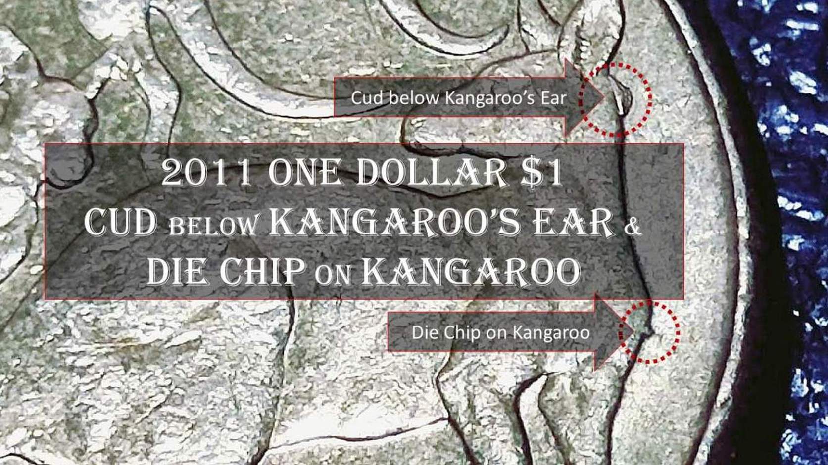 2011-Mob-Of-Roos-$1-Cud