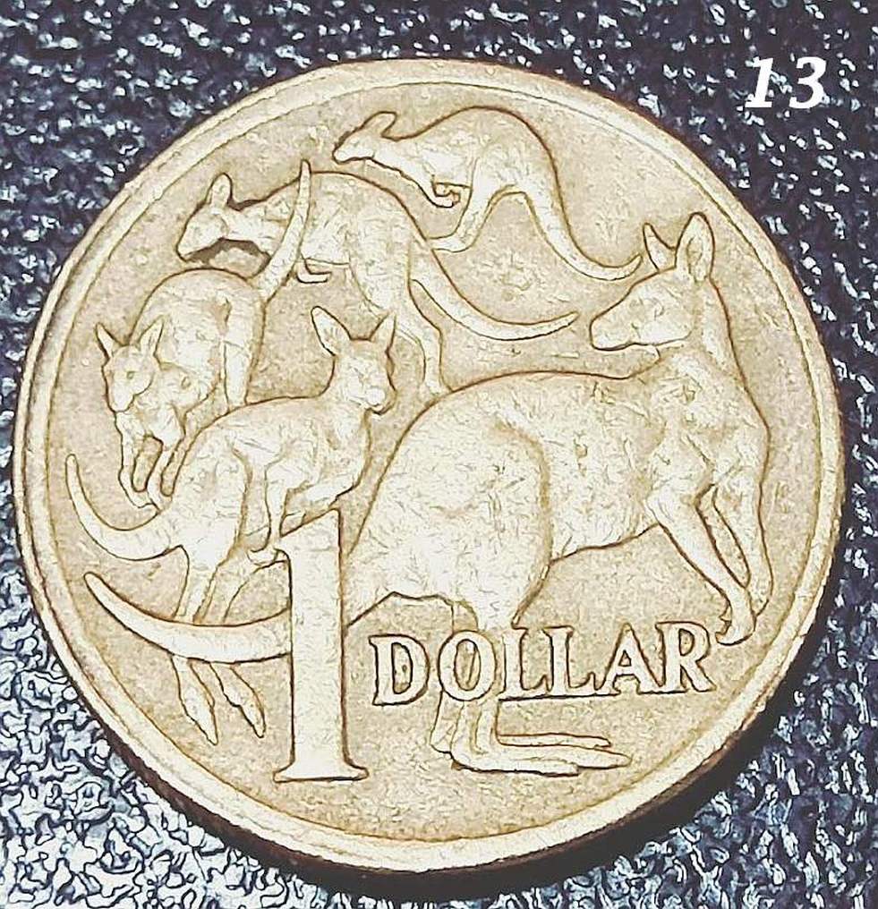 $1-Mob-Of-Roos---Double-Rim-Or-PMD?