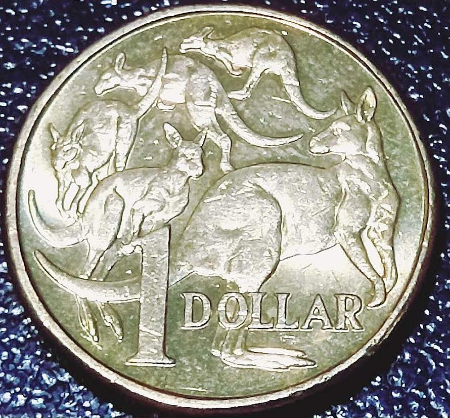 2019-$1-Coin-Mob-Of-Kangaroos-