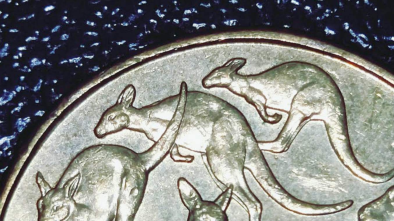 2019-$1-Coin-Mob-Of-Kangaroos-