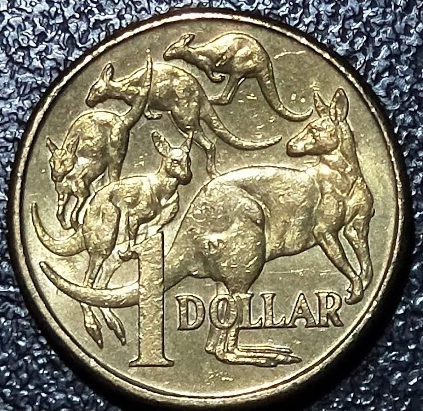 Australia-2015-$1-Mob-Of-Roos-Variety-Variations