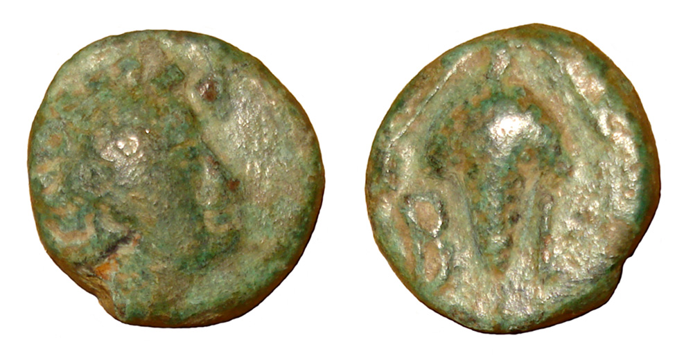 Bisanthe---Apollo-&-Tripod-+-Dionysos-&-Grape-Bunch