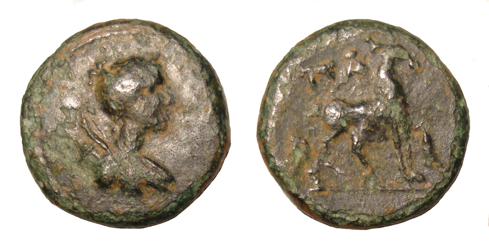 My-First-Animal-On-A-Coin.