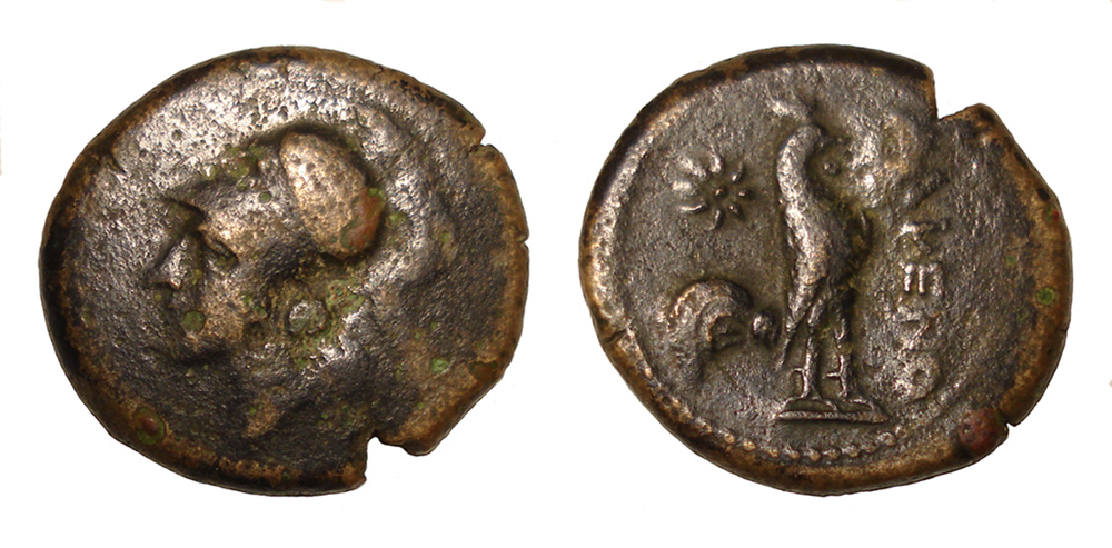 My-First-Animal-On-A-Coin.