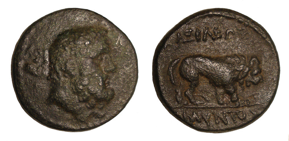 My-First-Animal-On-A-Coin.