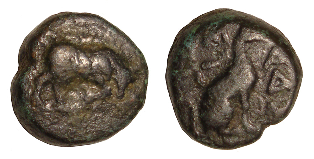 My-First-Animal-On-A-Coin.
