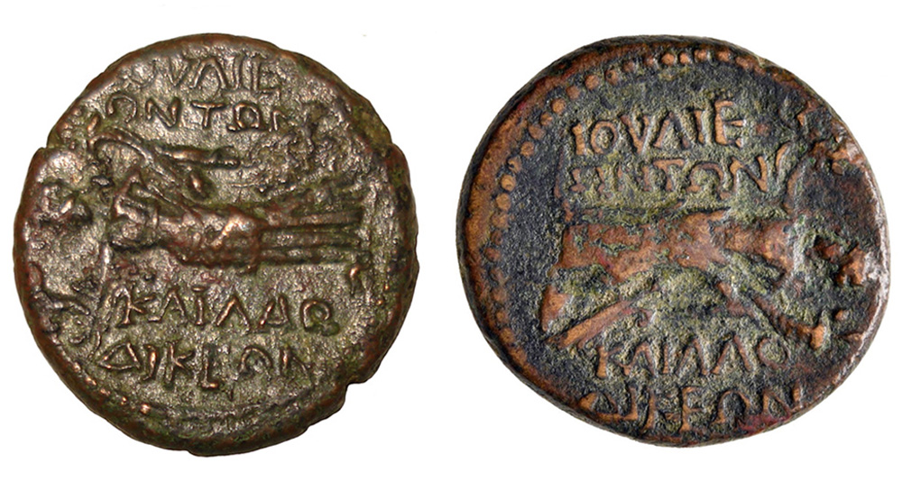 Help-Appreciated-With-This-Domitian-Coin