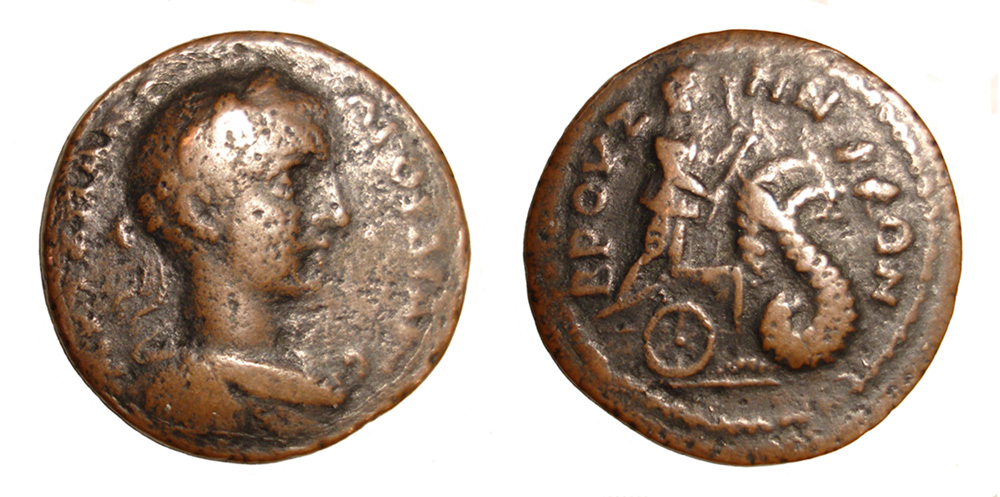 My-First-Animal-On-A-Coin.