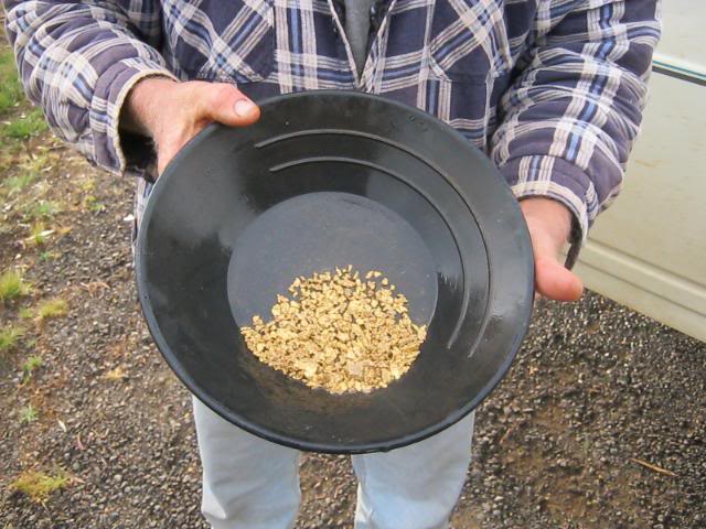 Aussie-Gold-Finds