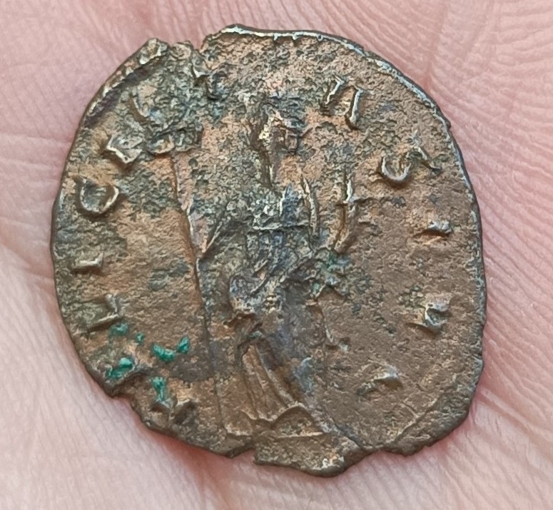 Several-Roman-Coins-To-Verify