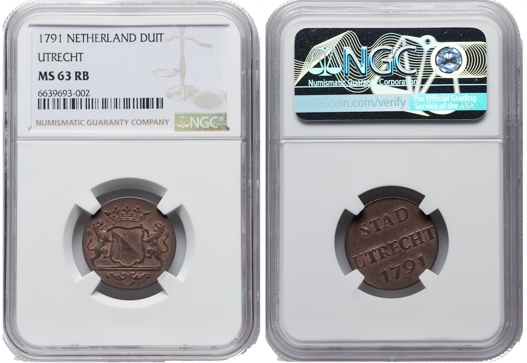 Continuing-List-To-Show-Everyones-Latest-Acquisitions
