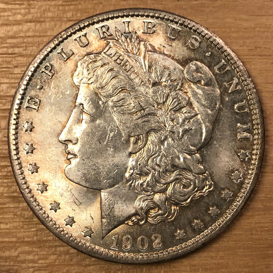 Lamination-On-A-1902-O-Morgan--Is-It-Collectible?