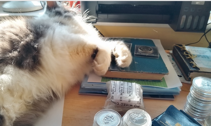 Someone-Stopped-Me-Sorting-Out-My-Coins.