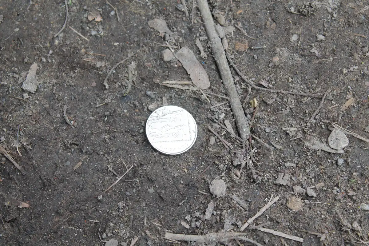 Post-Your-Stories-&-Pix-Of-Found-Money