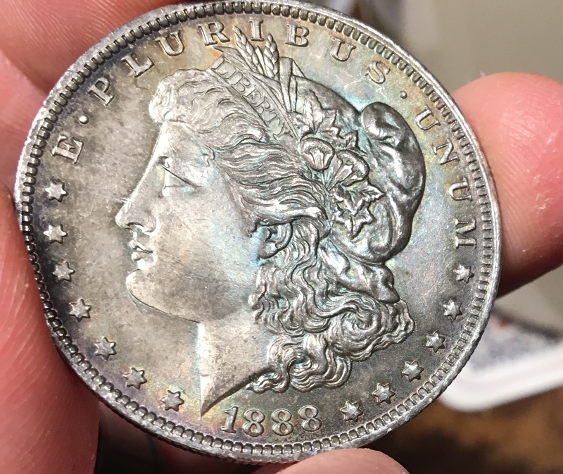 A-Couple-Recent-Pickups:--1888-O-Morgan-Dollar-Grading