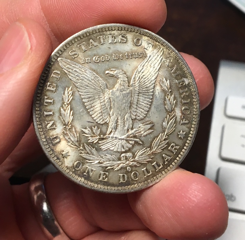 A-Couple-Recent-Pickups:-1884-O-Morgan-Dollar-Grading