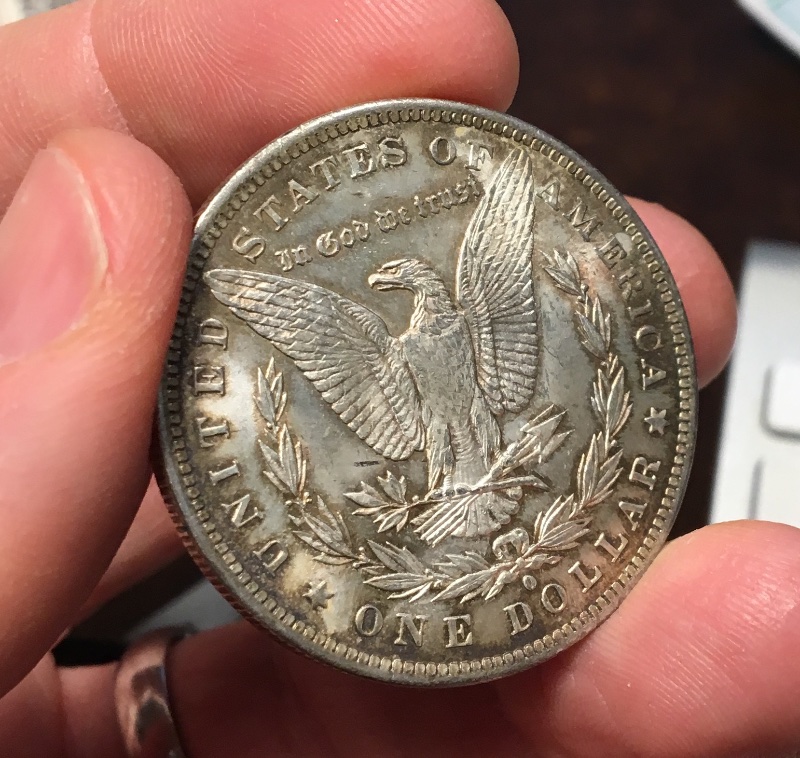 A-Couple-Recent-Pickups:-1884-O-Morgan-Dollar-Grading