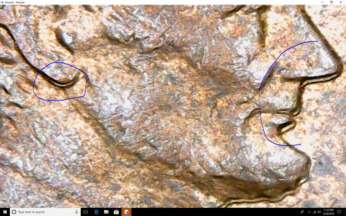 Possible-1984-Double-Ear-LMC