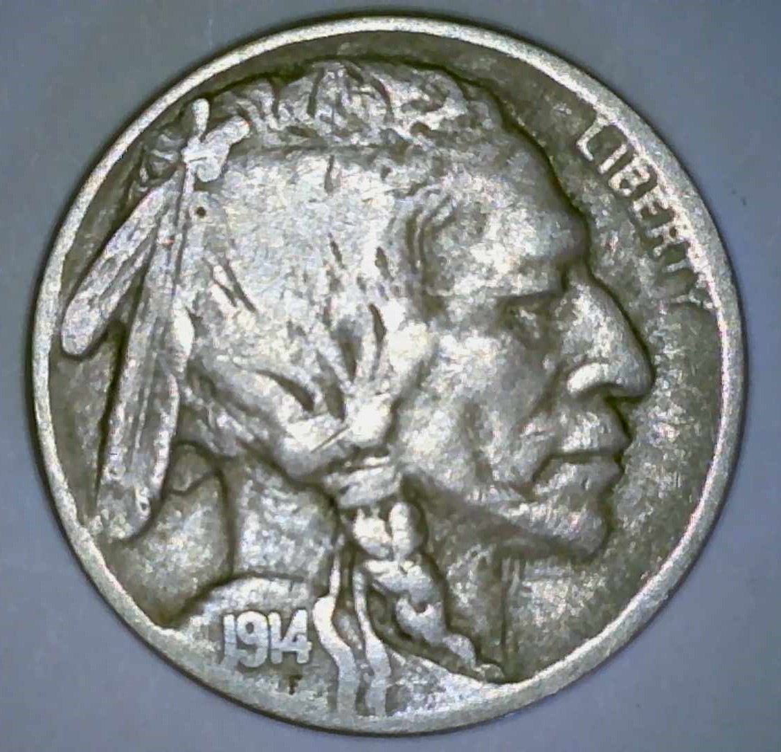 1914-Buffalo-Found-In-Wall-Today-Grade-Please