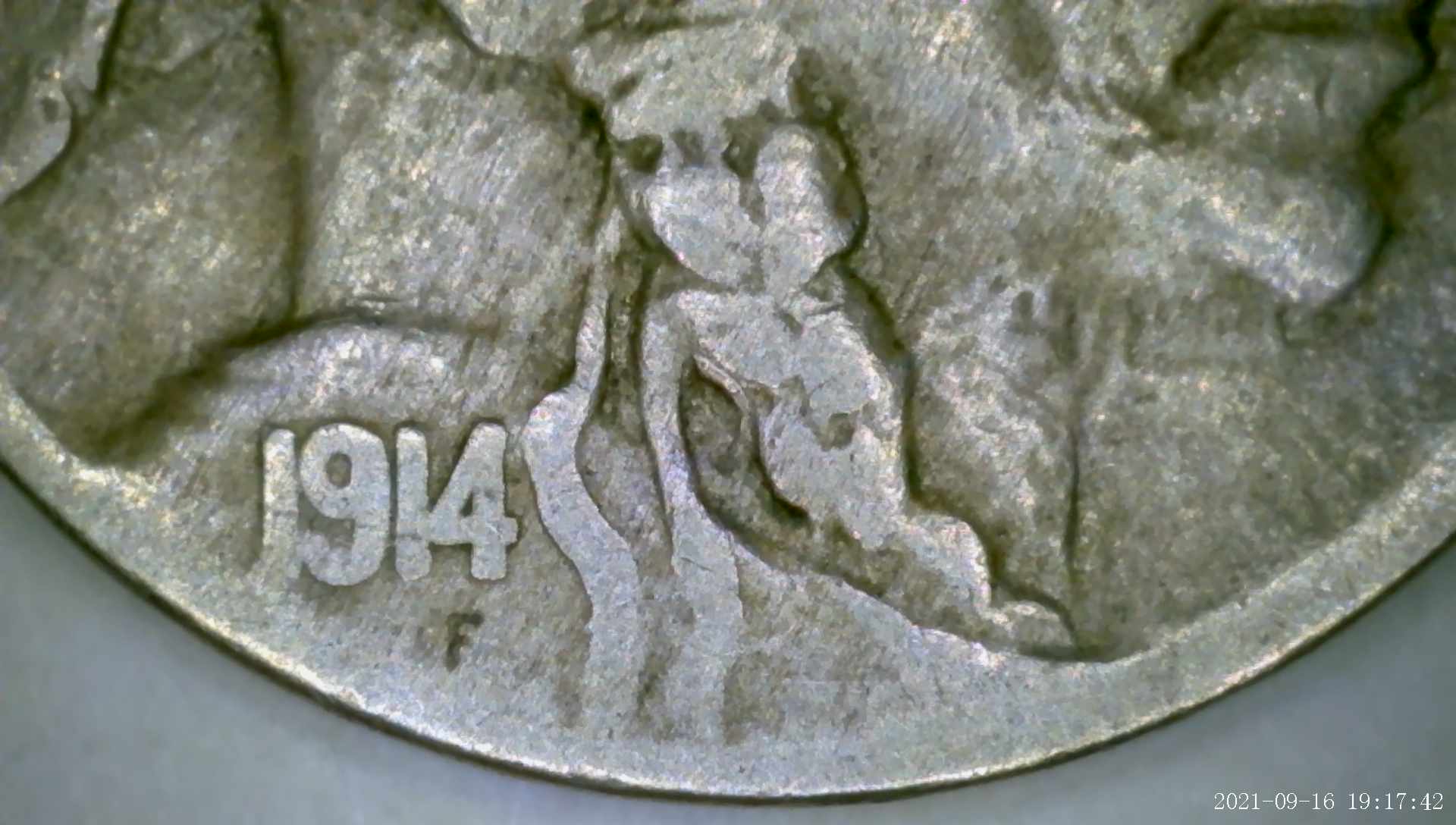 1914-Buffalo-Found-In-Wall-Today-Grade-Please