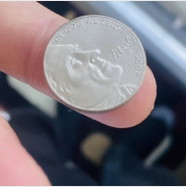 2005-Nickel-,-Front-Satin-And-Rear-Is-Silver