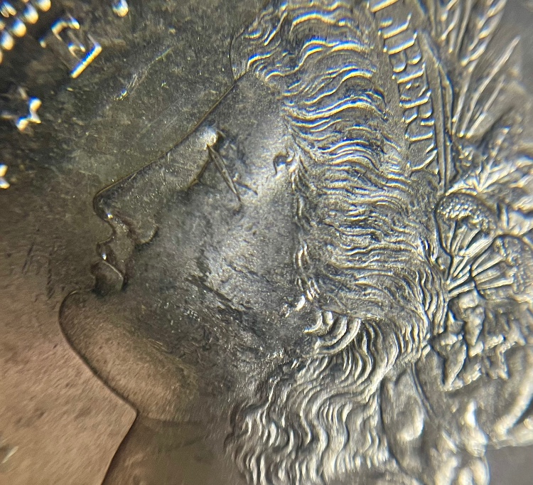 1881-S-Morgan---Grade-It!