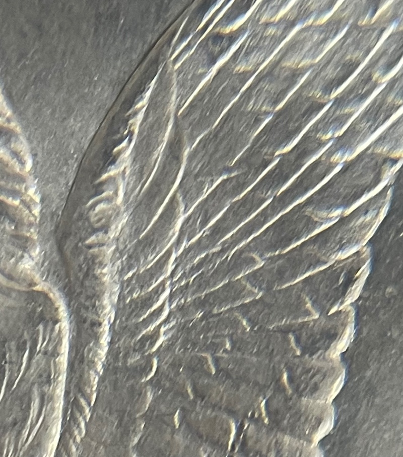 1878-CC-Morgan-VAM-13
