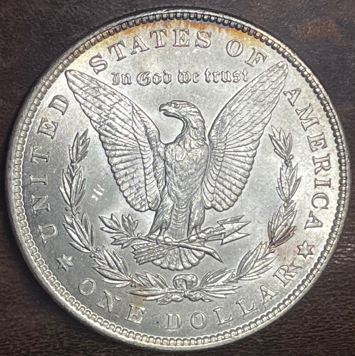 1896-P-Morgan---Grade-It!