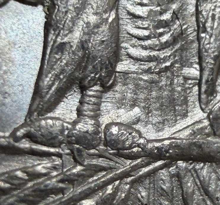 1888-S-Morgan-VAM-13-Monster-Gouged-Eagle