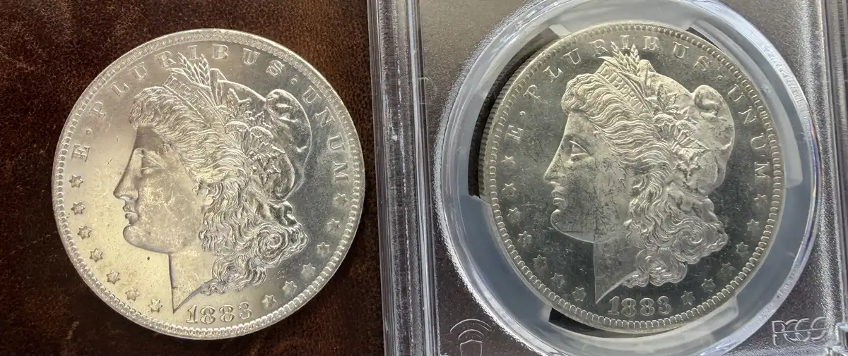 1883-O-Morgan-Dollar-Pl?-Grade-It!