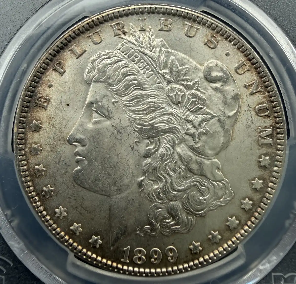 1899-Morgan-You-Vs.-PCGS