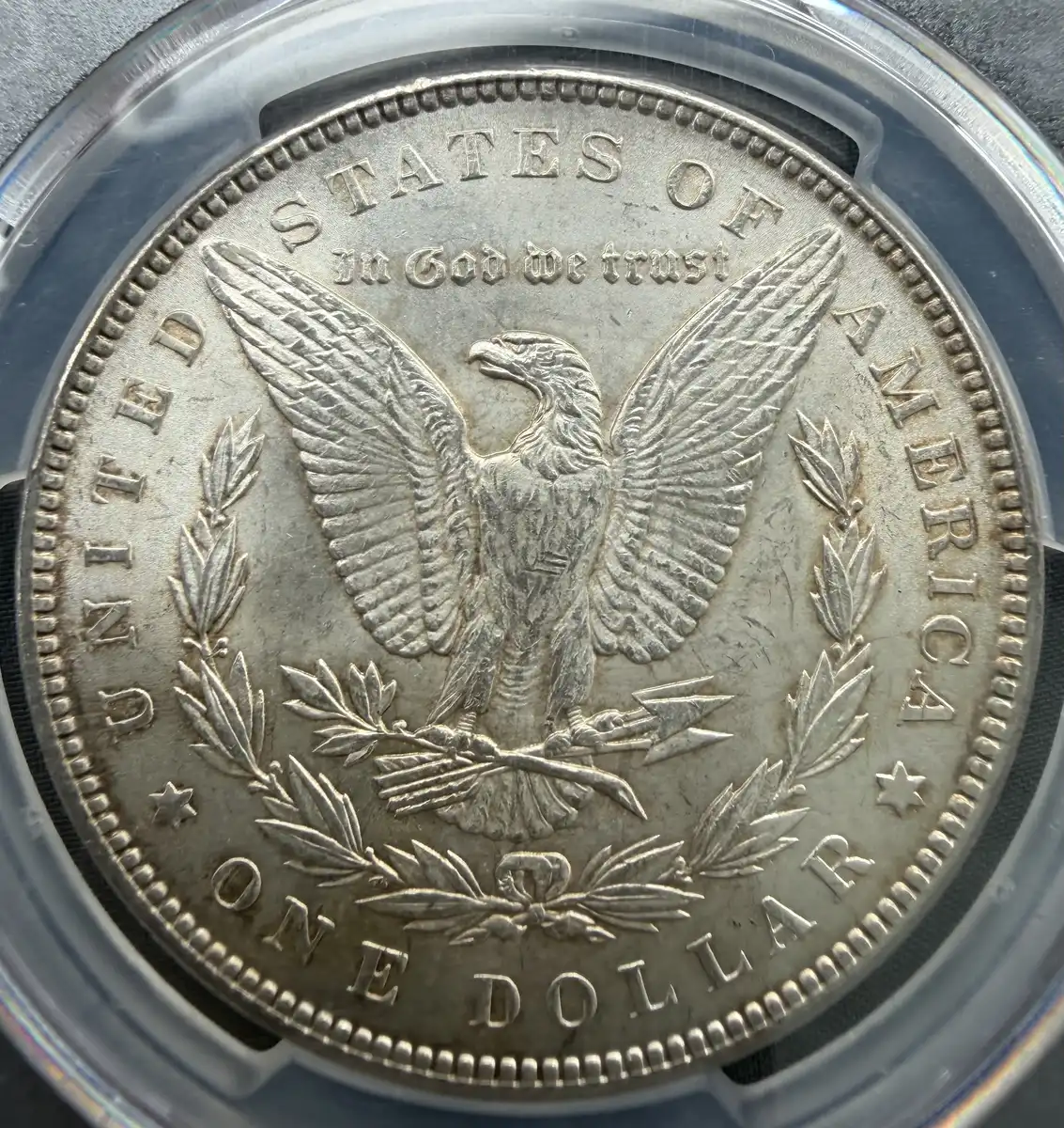 1899-Morgan-You-Vs.-PCGS