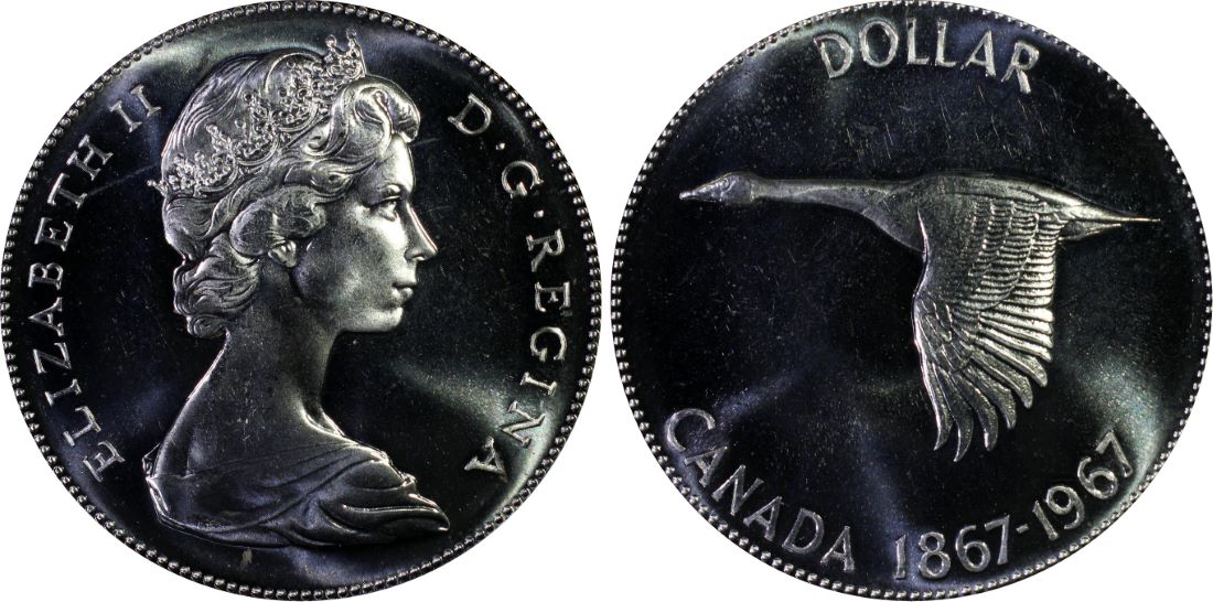 Post-Your-Coins-Representing-The-Animal-Kingdom.