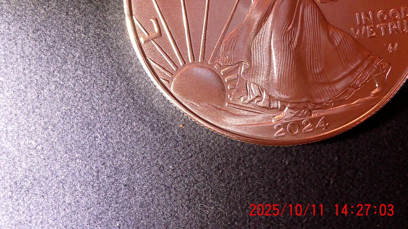 2024-American-Silver-Eagle-1-Oz-Bullion---Not-Sure-What-This-Spot-Is.