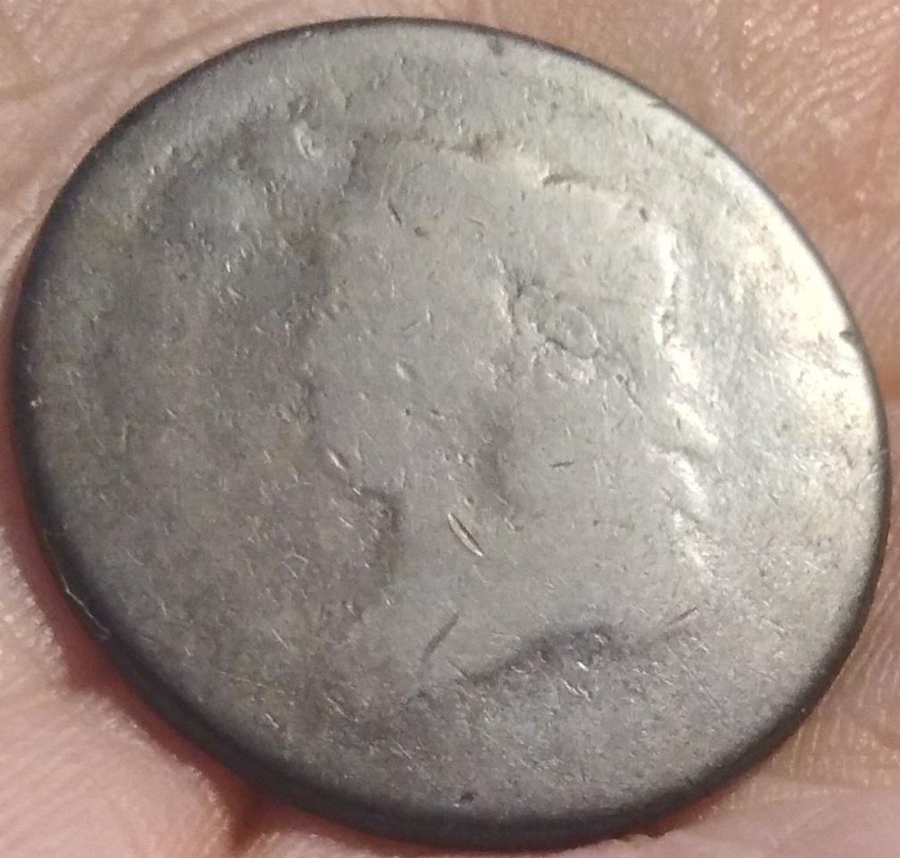 Pretty-Nice-Glossy-Brown-Poor-1813-S-292;-What-Is-That-Lump-On-Her-Head?