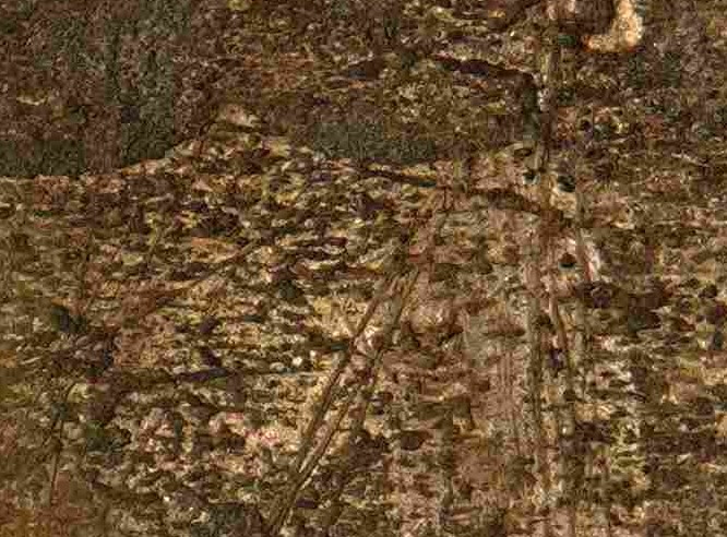 1786-New-Jersey-That-Looks-Like-It's-Possibly-Struck-Over-Another-Coin