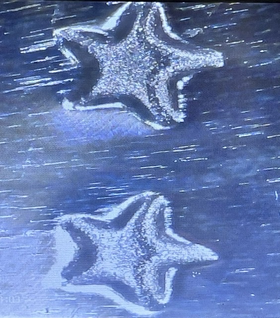 1969-S-Quarter-DDR-From-Proof-Set